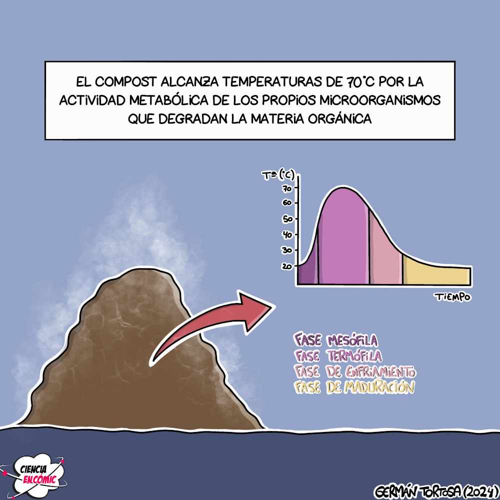 La temperatura del compost